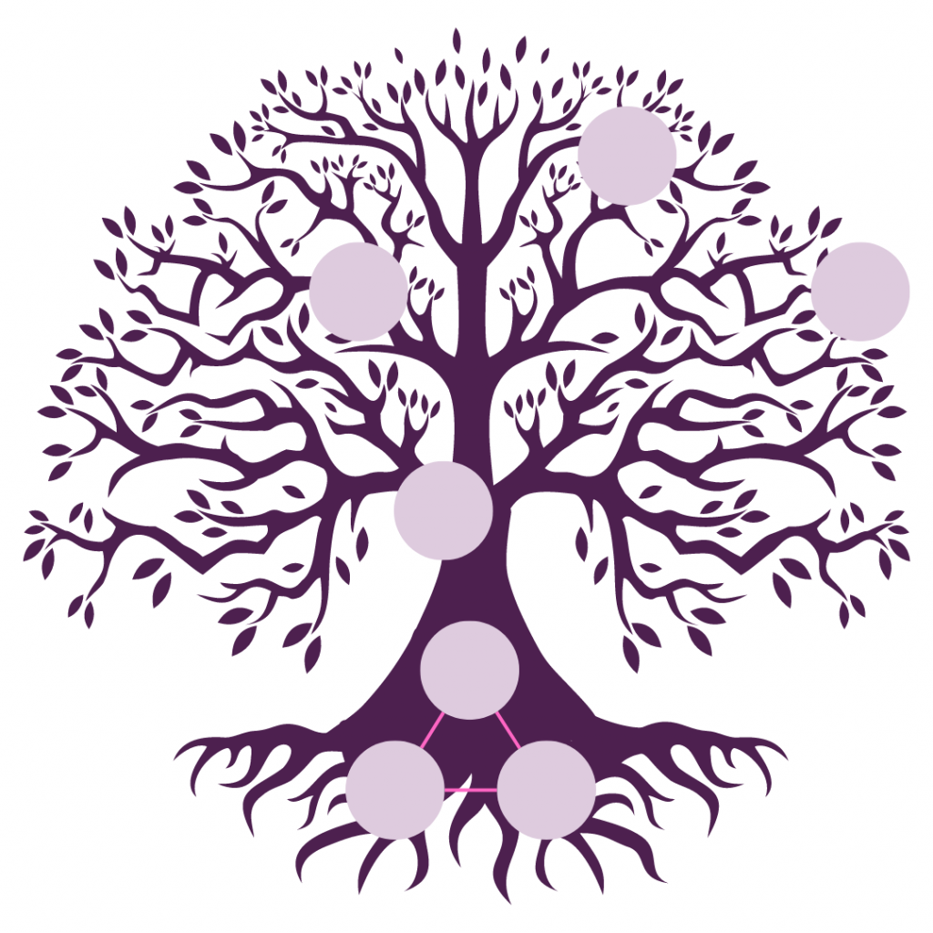 Arbre personnel en Numérologie Stratégique®